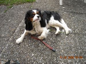 img4.jpg